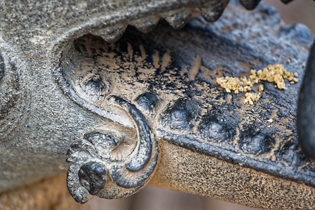 Konarak-Temple du soleil-102